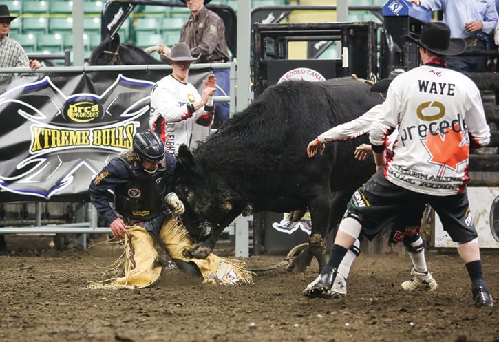 Red Deer Bull Riding