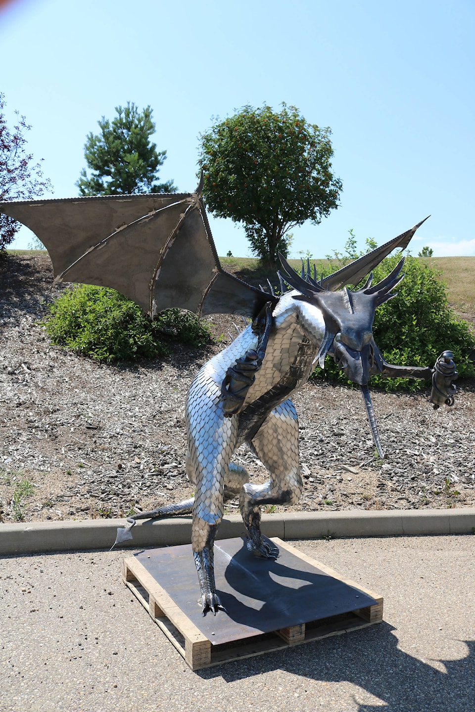 7988156_web1_Dragon23