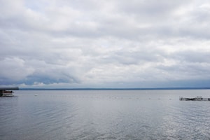 Blue-green algae advisory issued for Pigeon Lake