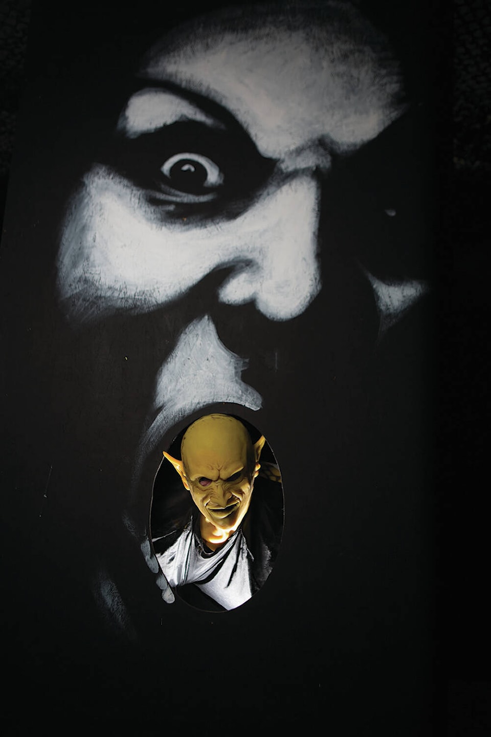 Zed Haunted House canceled for 2021 Express