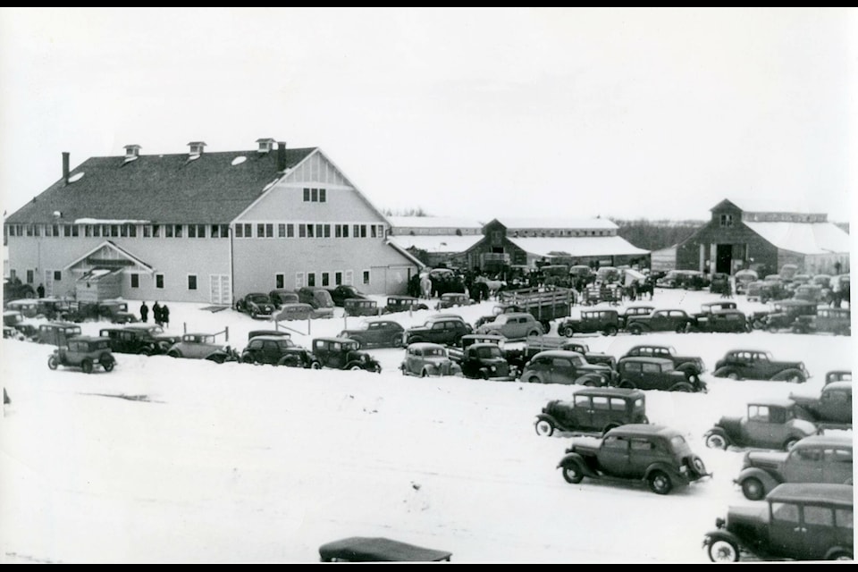 The Lacombe Farmer’s Horse Sale, held in mid-March from 1925 to 1950 drew buyers from as far away as Ontario. It was the highlight of the month for locals as the number of vehicles in this 1938 photo shows. Archival Image LDHS 93.1.91 (Lacombe and District Historical Society. Questions or comments lacombemuseum.com)
