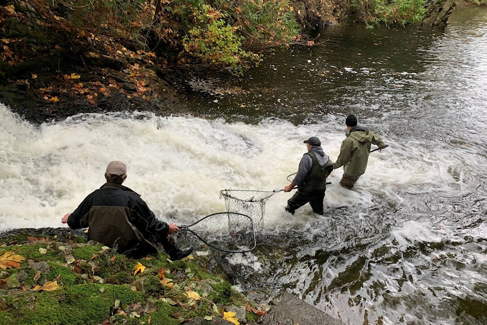 28857397_web1_220420-CPW-salmon-conservation-project-creek_1