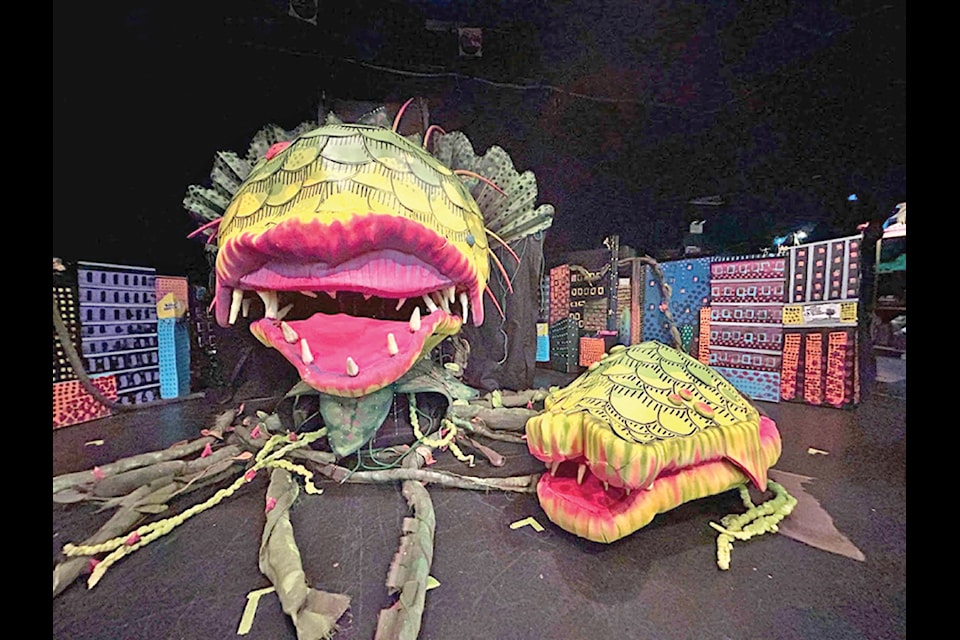 Audrey II was a true labour of love, she is the plant that Seymour cares for in the show 'Little Shop of Horrors'.