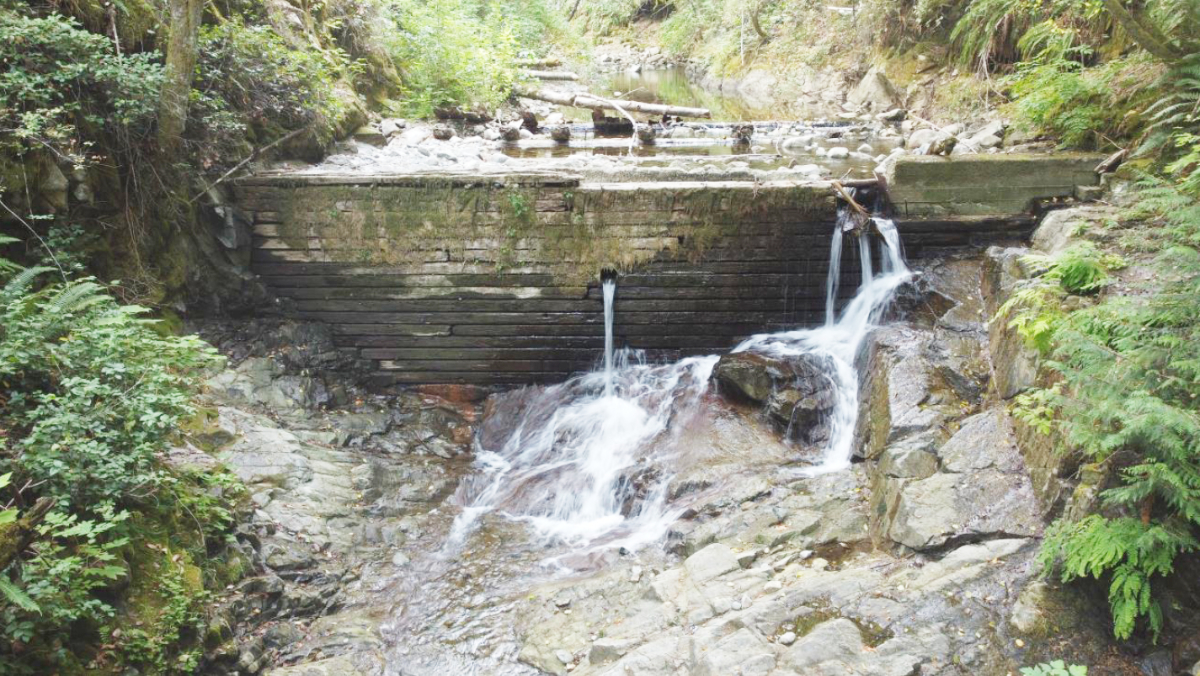 Removal of Ladysmith's Mackie Dam delayed to 2025