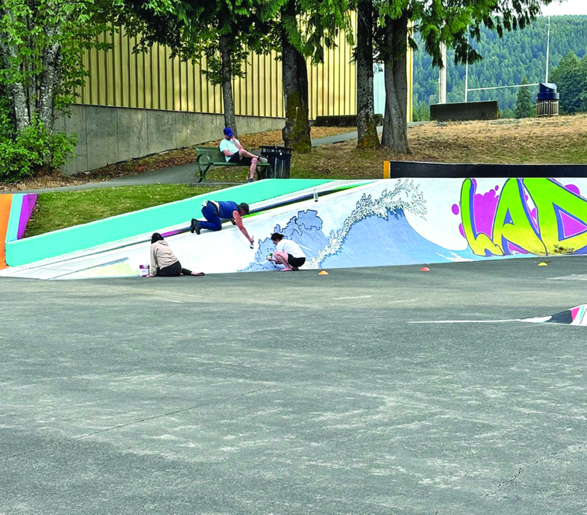 New art brightens Ladysmith skatepark