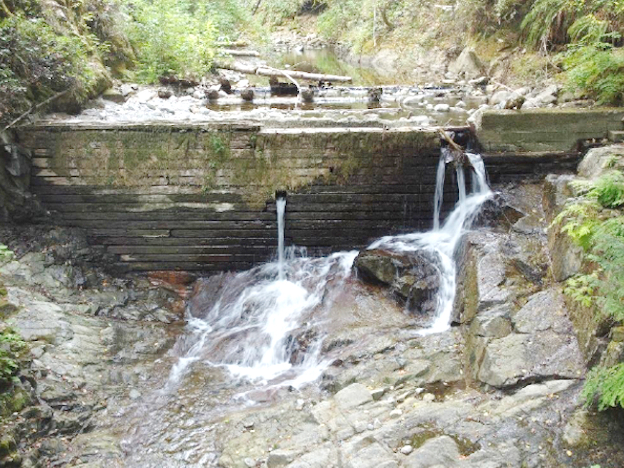 Ladysmith to remove Mackie Dam, close trail section