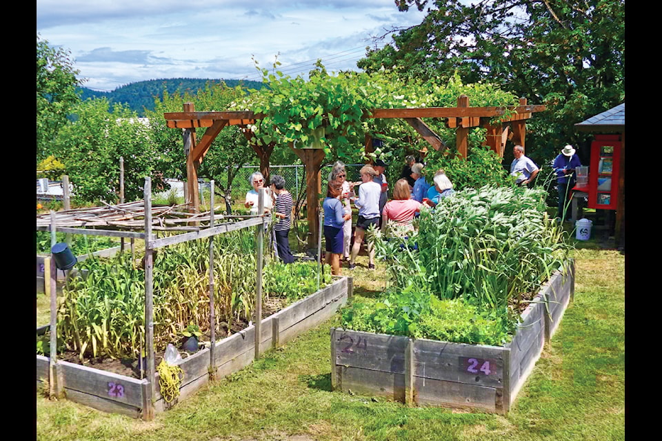 Members of the community and invited guests attended an open house hosted by the Ladysmith Community Gardens Society to celebrate the group’s 15th anniversary. The growing group of 30 members has outgrown its present location and are hoping that they might soon be able to expand as the need for fresh food is a growing concern on the Island. (Duck Paterson photo)