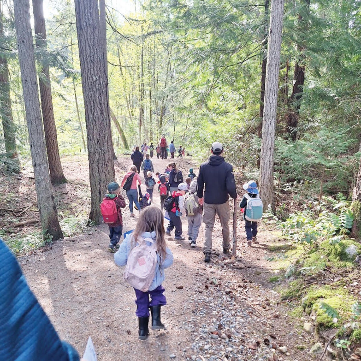 Ladysmith group tackles broom and more