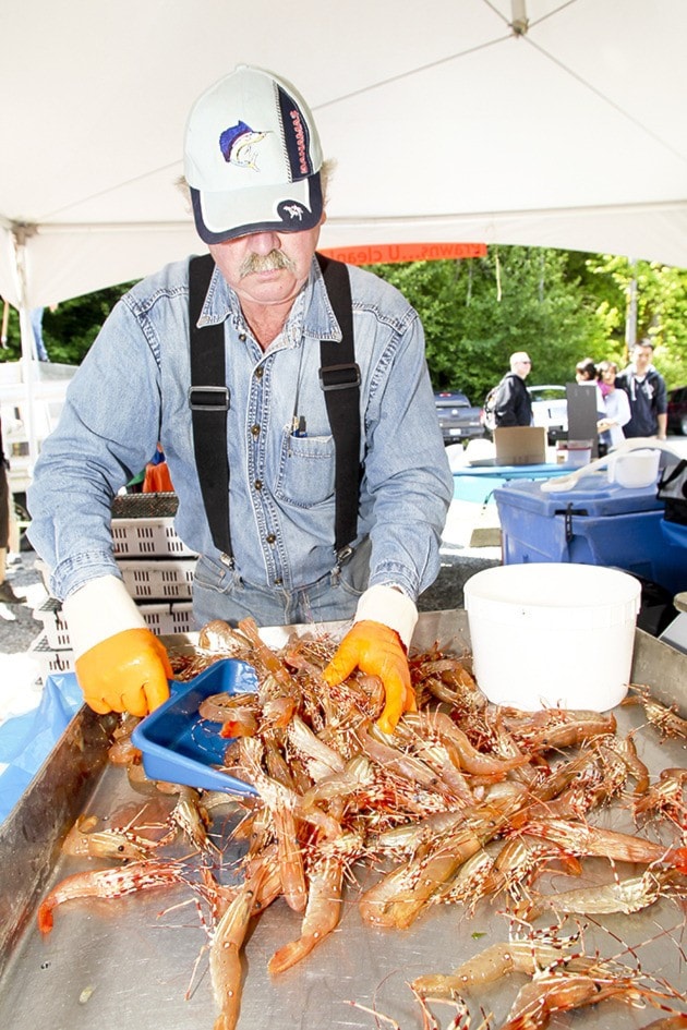 Spot Prawn Festival