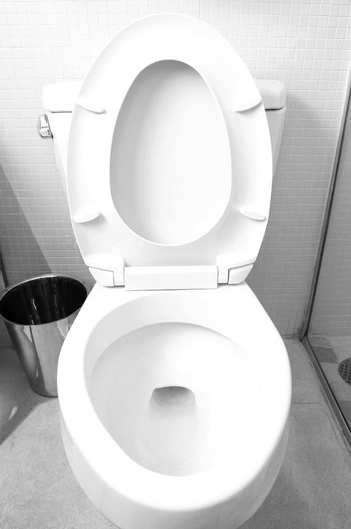 19113ladysmithToilet3B-W