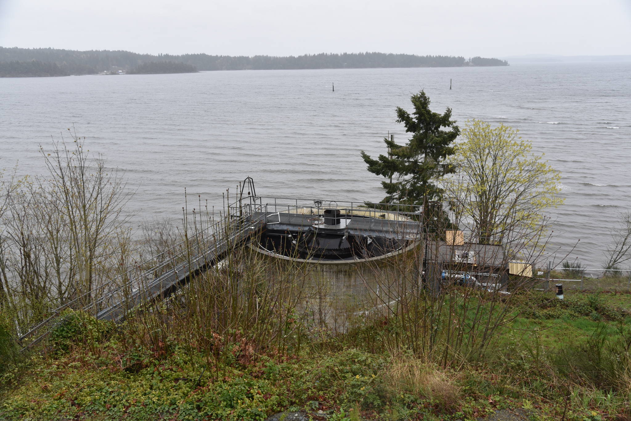 11417559_web1_DSC_1305