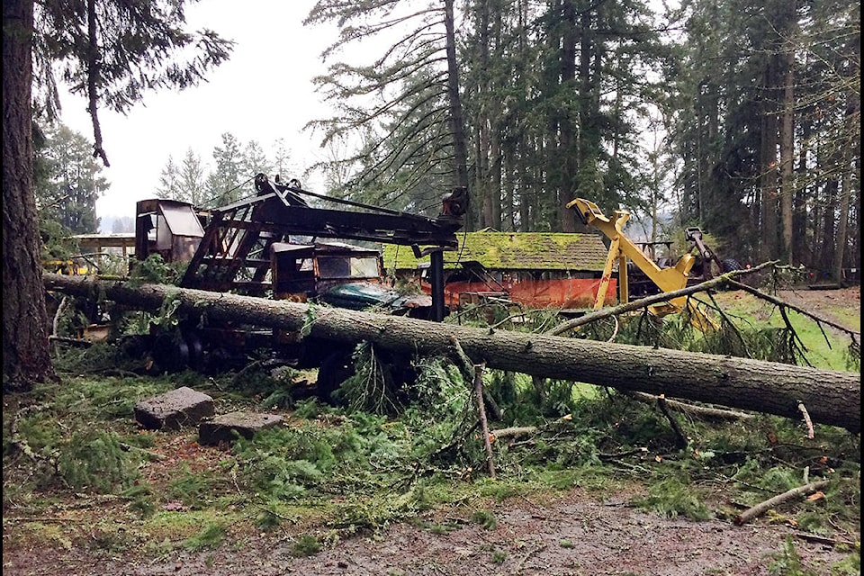 With all that equipment displayed among the trees, there was significant damage during the windstorm. (Submitted)