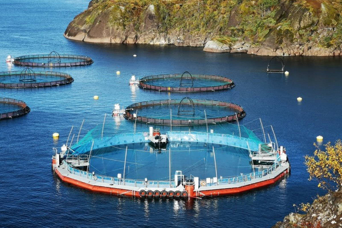 Experimental 'closed-containment' fish farm coming to Canadian