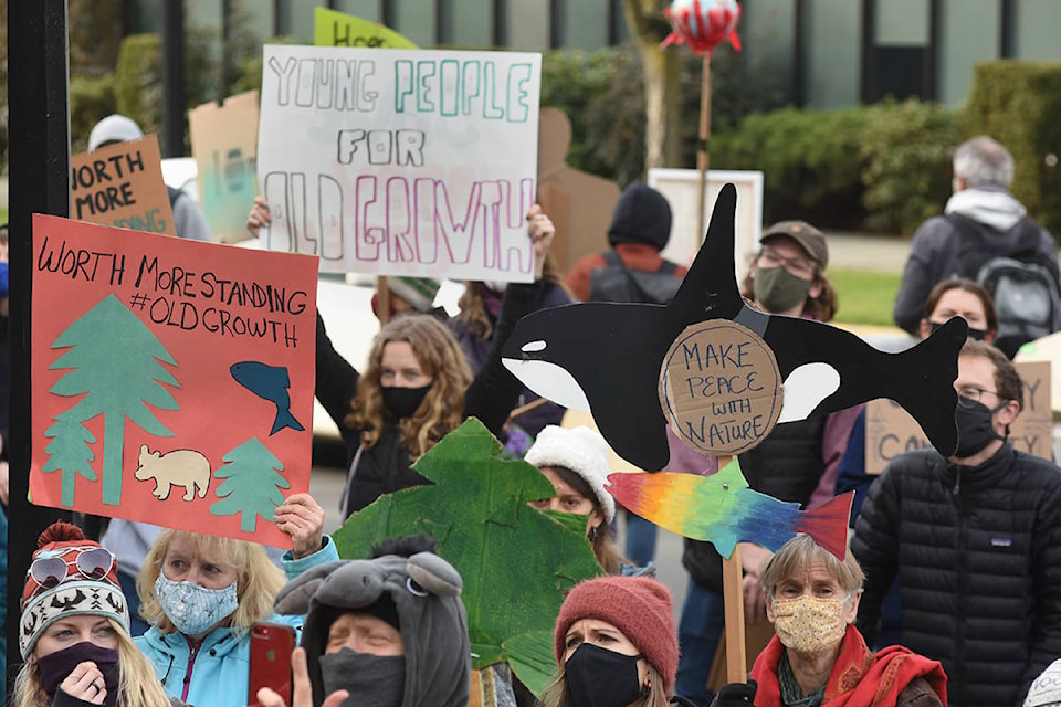 Protestors against old growth logging gather in front of the courthouse in Victoria on Thursday morning. (Don Denton/Black Press Media)