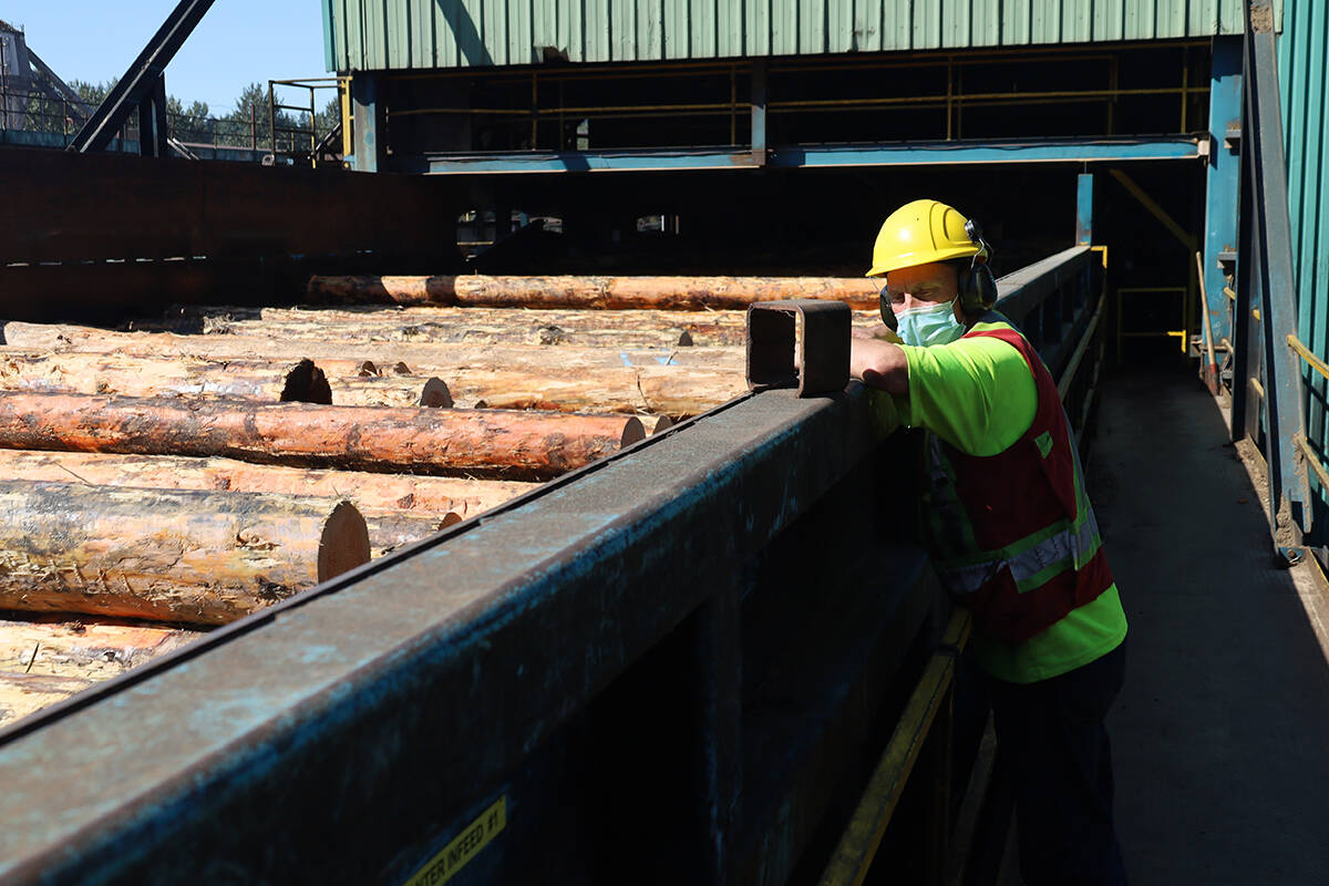 Leif Lymun monitoring the small log mill intake at the Teal Jones mill in Surrey. 100 per cent of every log is used, including sawdust and wood chips. Shawn Hall Photo.