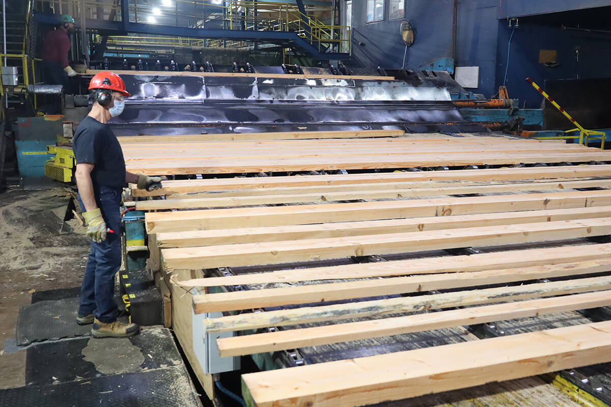 Lloyd Screlezki at the Teal Jones small log mill lumber sort in Surrey. On Sep. 30 Teal Jones operations across BC will pause to honour the National Day for Truth and Reconciliation. Shawn Hall Photo.