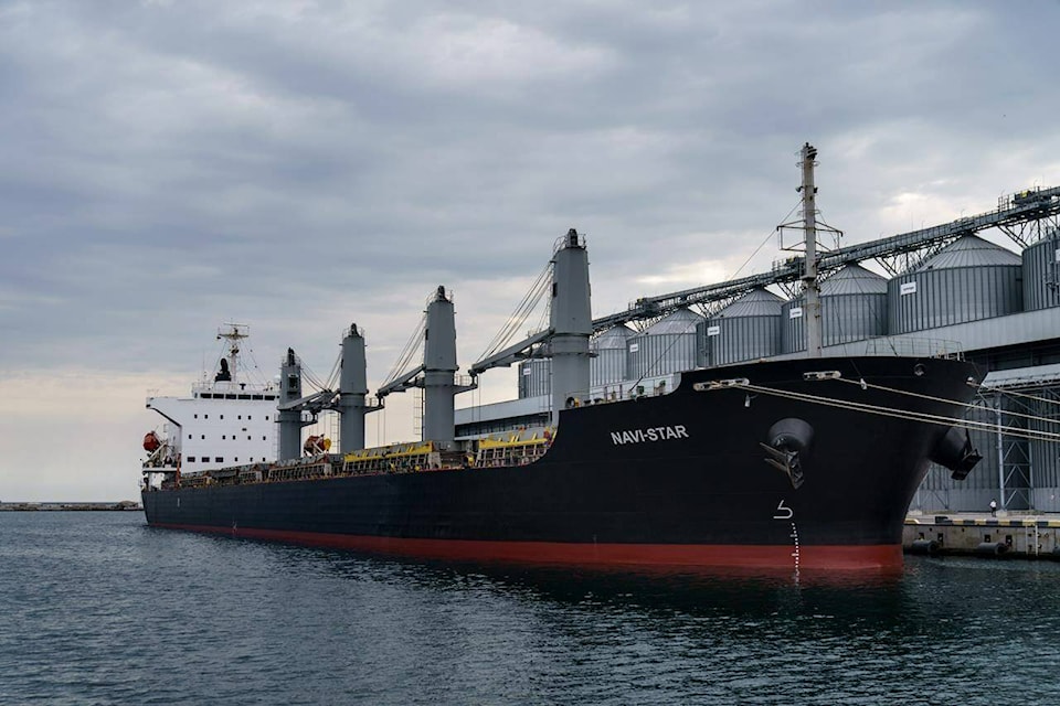 The ship Navi-Star sits full of grain since Russia’s invasion of Ukraine began five months ago as it waits to sail from the Odesa Sea Port, in Odesa, Ukraine, Friday, July 29, 2022. (AP Photo/David Goldman)