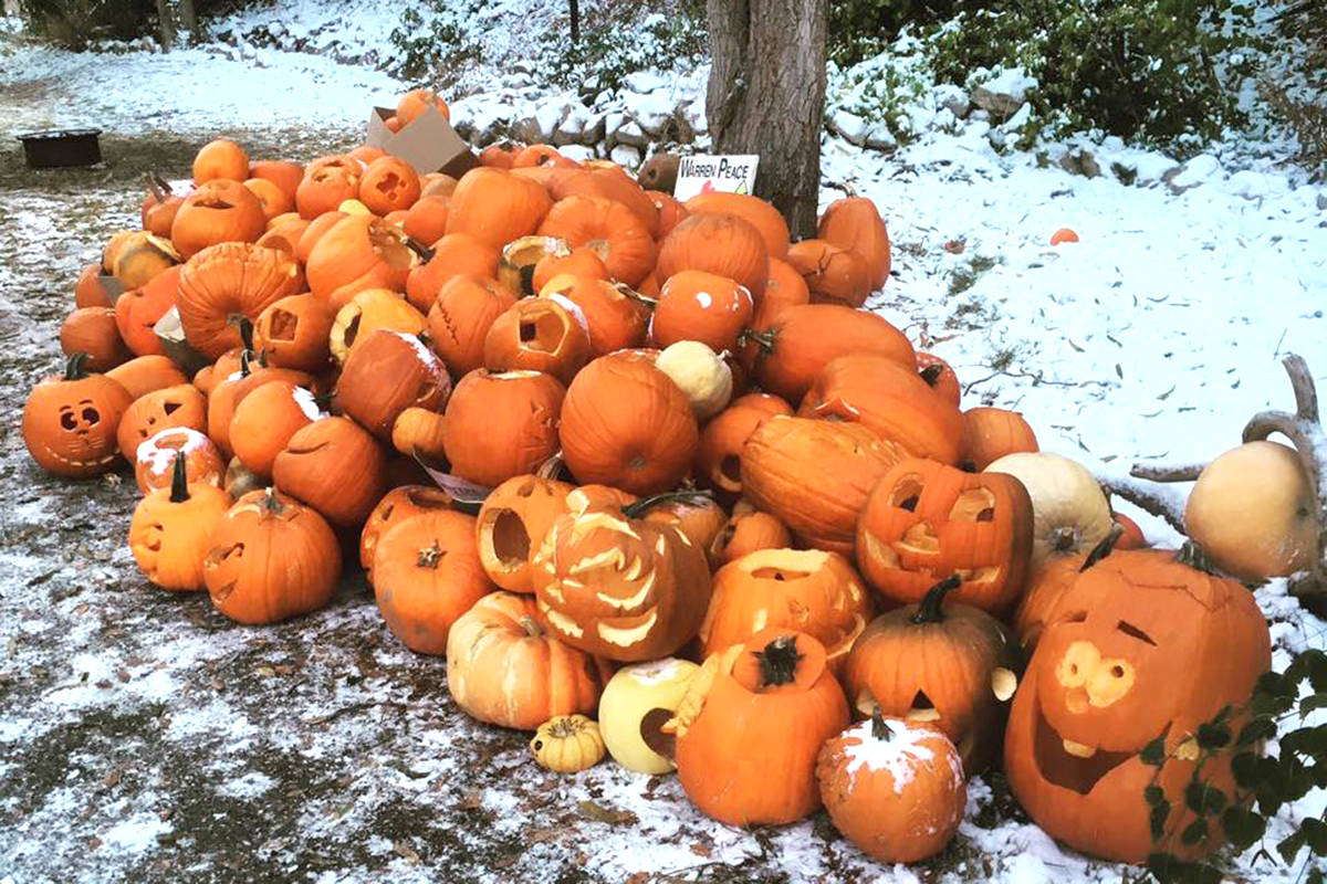 9248537_web1_pumpkins