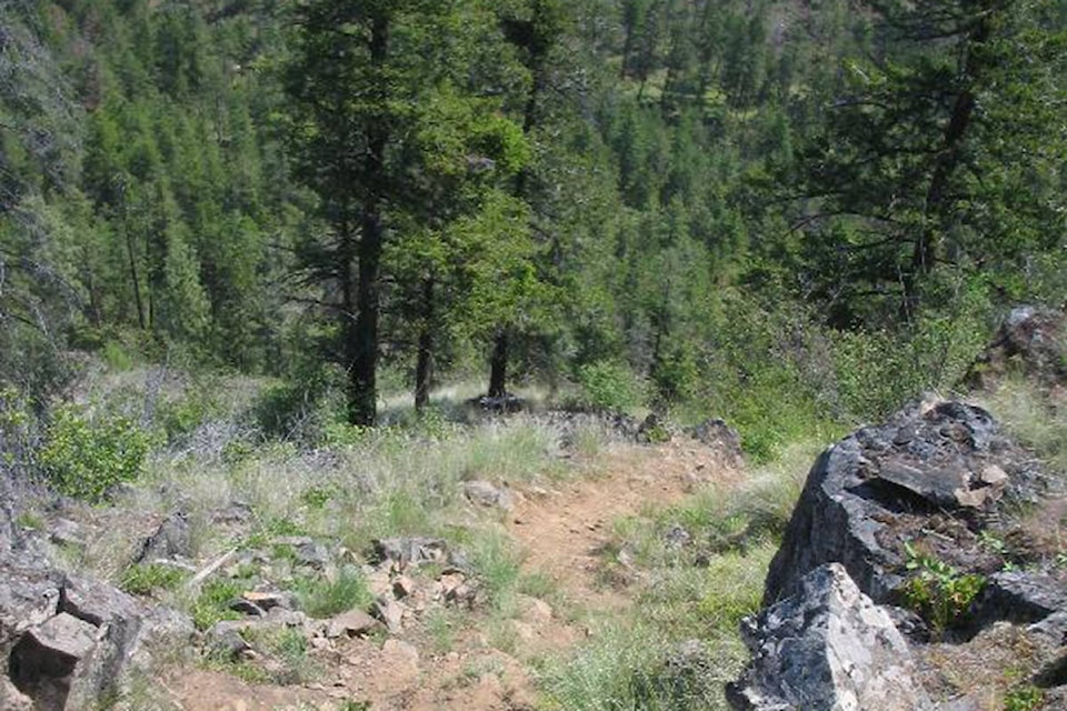 12092101_web1_170310-KCN-mt-bou-trails