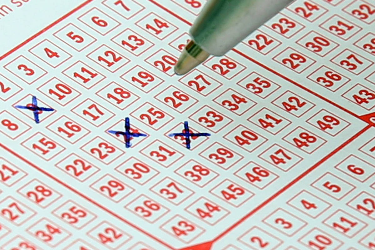 Bc lotto 2025 ticket checker
