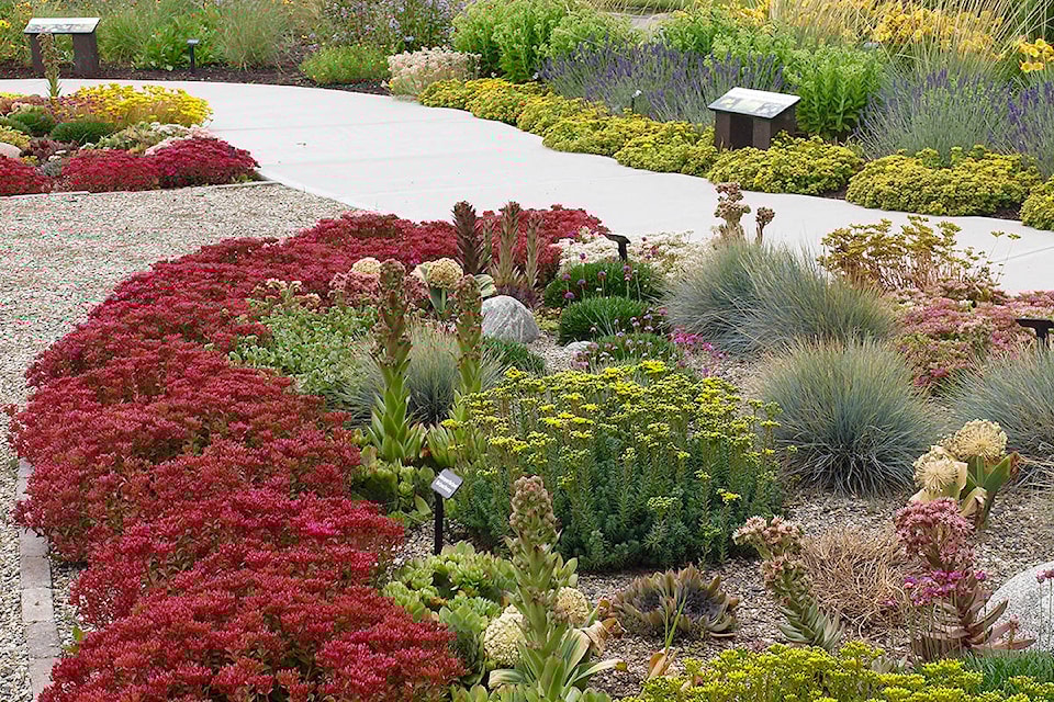 15244500_web1_190123-KCN-Rock-garden-at-unH20-Garden