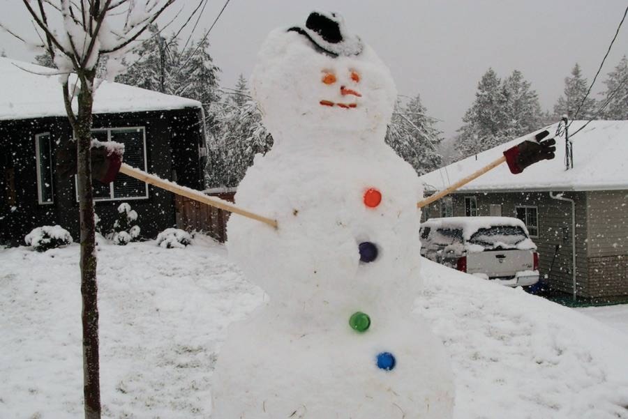 15765781_web1_snowman