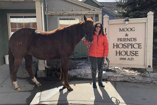 16017774_web1_190320-PWN-hospice-horse-T