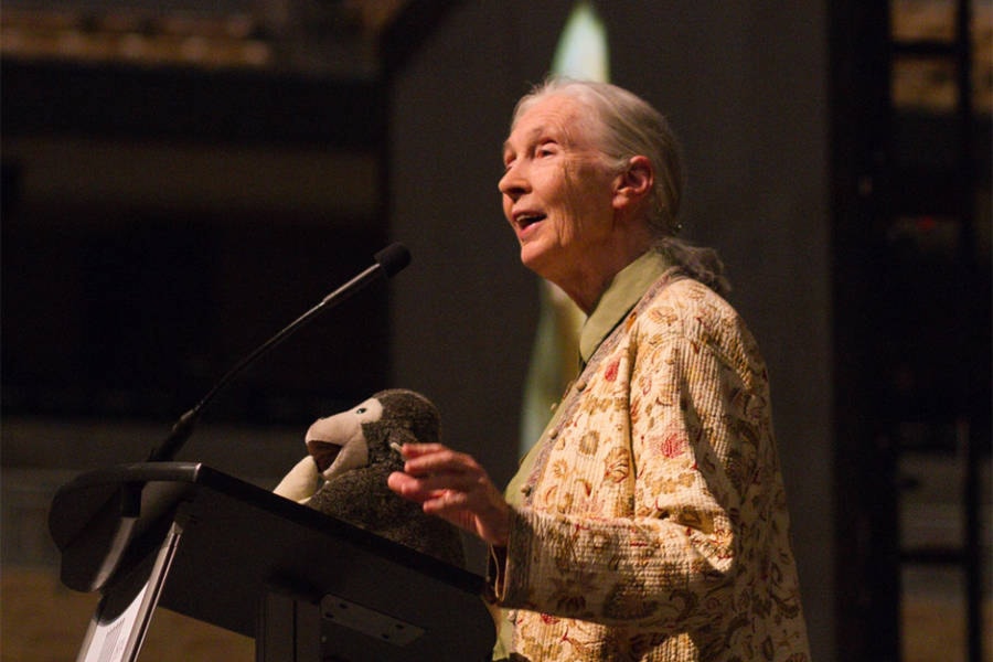 19793360_web1_191218-VMS-Jane-Goodall