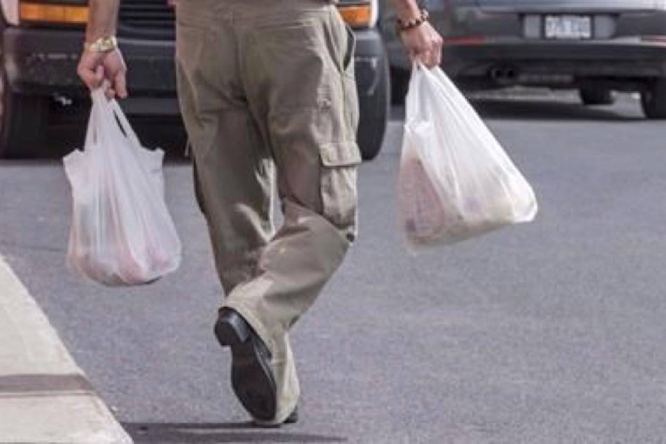 21082040_web1_copy_190731-RDA-Sobey-store-move-plastic-bags-from-all-stores-next-year-as-grocers-go-green_1