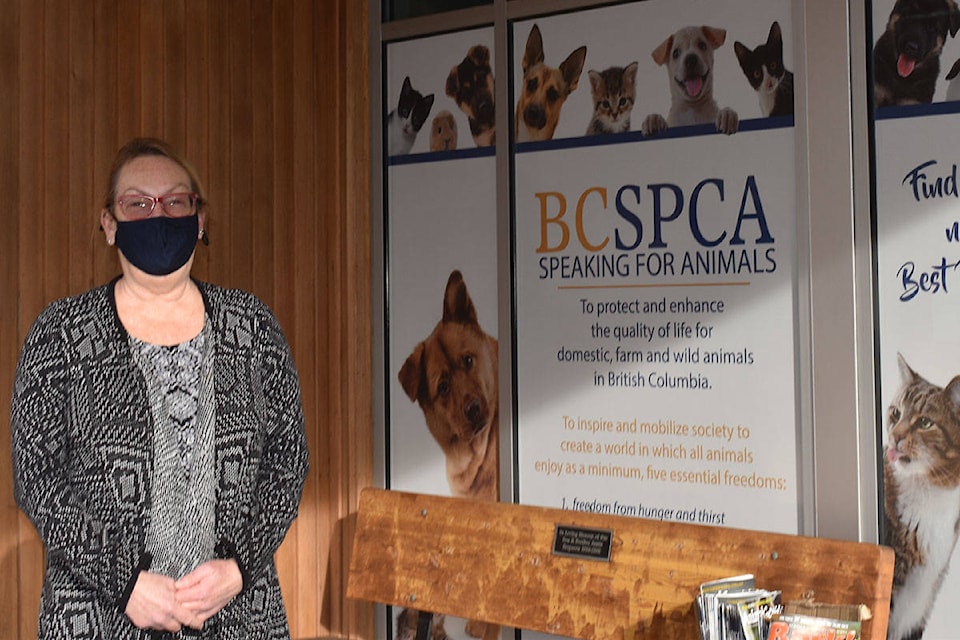 Okanagan Similkameen SPCA branch manager Carolyn Hawkins outside the SPCA shelter on Dartmouth St. (Monique Tamminga Western News)