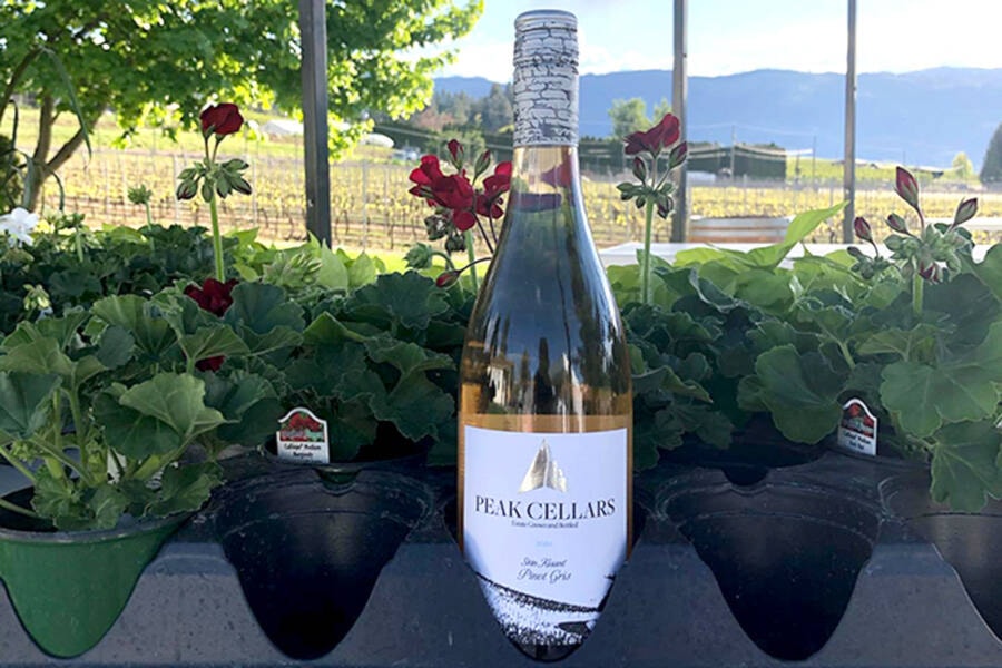 26369818_web1_210909-WIN-peak-cellars-application-PEAK_1