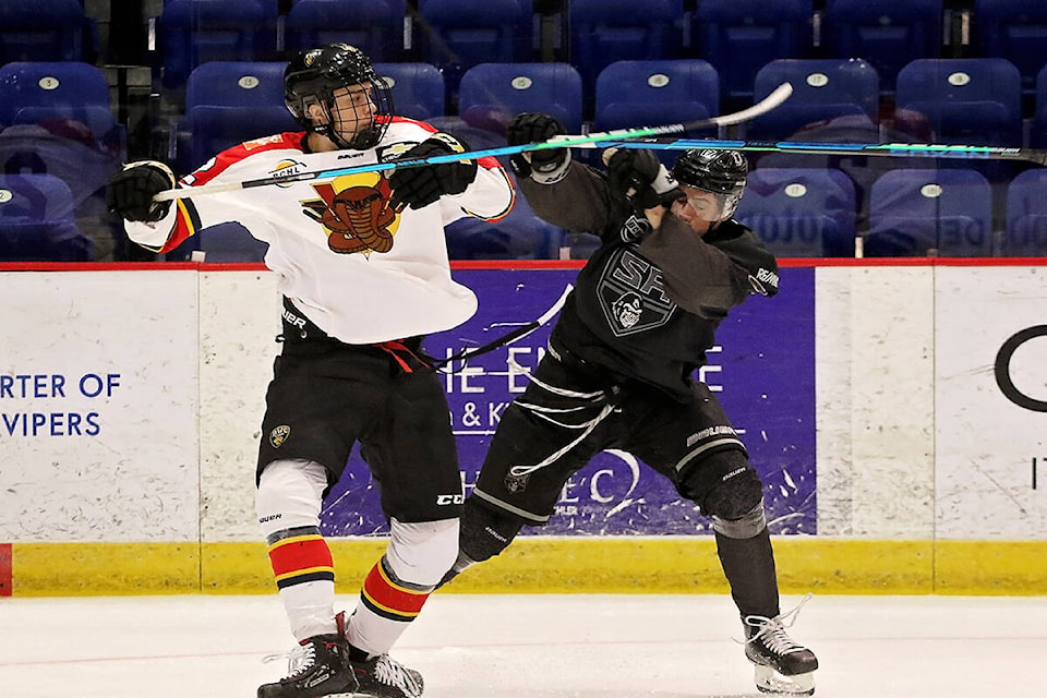 26659409_web1_210930-VMS-vipers-gorillas-SILVERBACKS_1