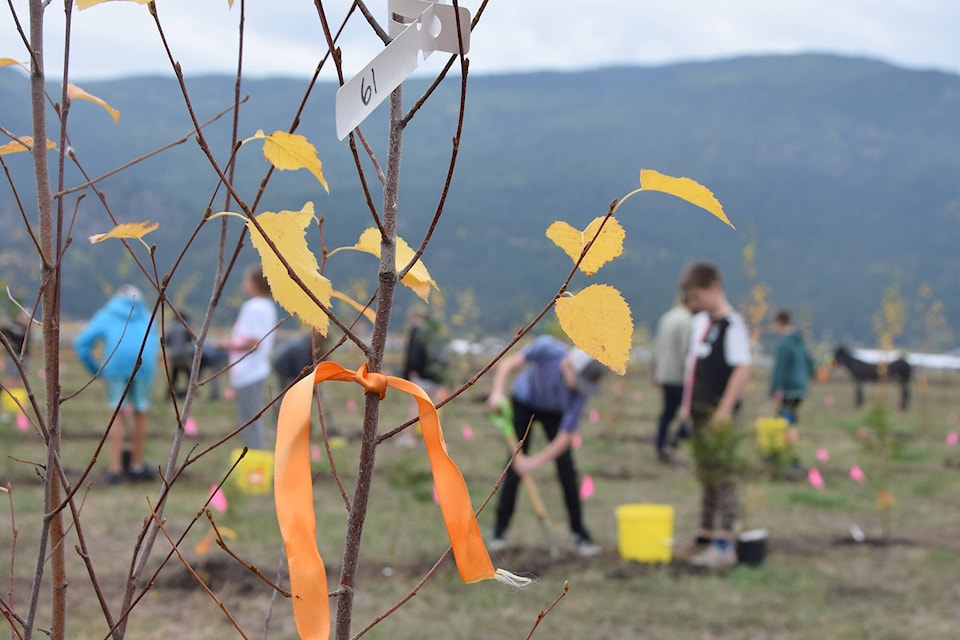 The students of Len Wood Middle School planted 215 trees Tuesday, Oct. 5, in honour of the children found at the former Kamloops residential school. (Caitlin Clow - Vernon Morning Star)