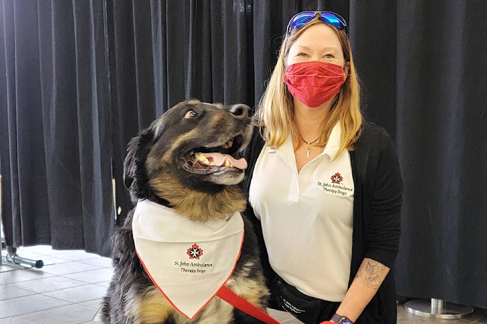 27954146_web1_220127-KCN-st-johns-therapy-dogs_1