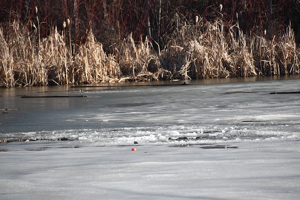 28576505_web1_220330-SAA-college-pond