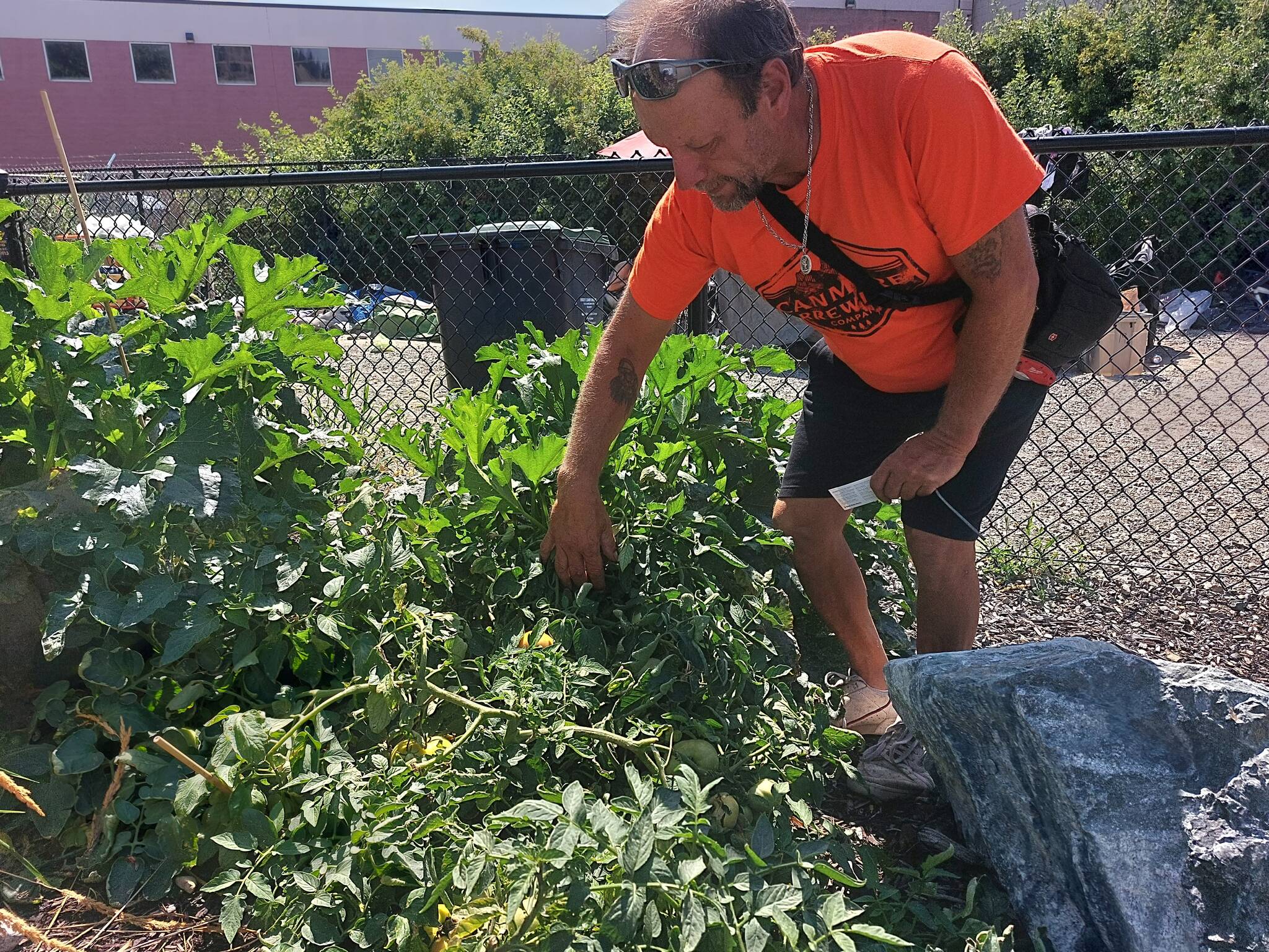 Garth, the muscle of the community garden (Jacqueline Gelineau/Capital News)