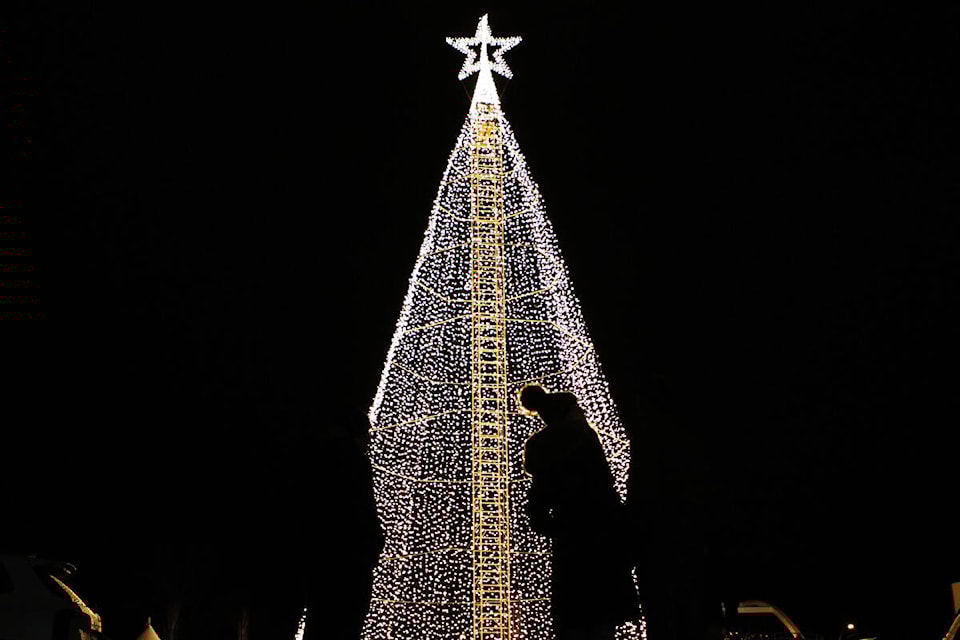 31094039_web1_211202-KCN-Tree-of-Hope_1