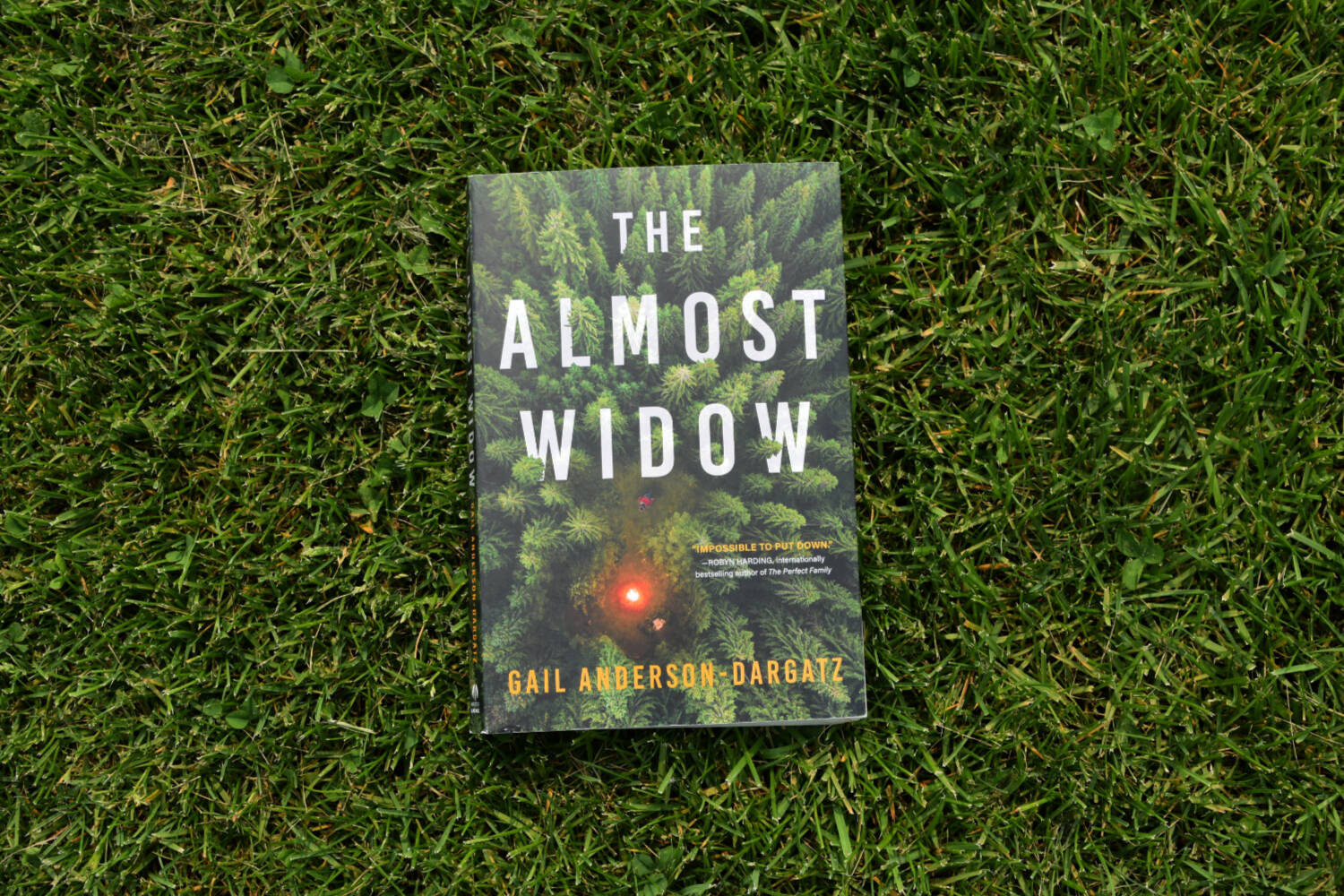 Shuswap international award-winning author Gail Anderson-Dargatzs latest novel, The Almost Widow. (Martha Wickett-Salmon Arm Observer)