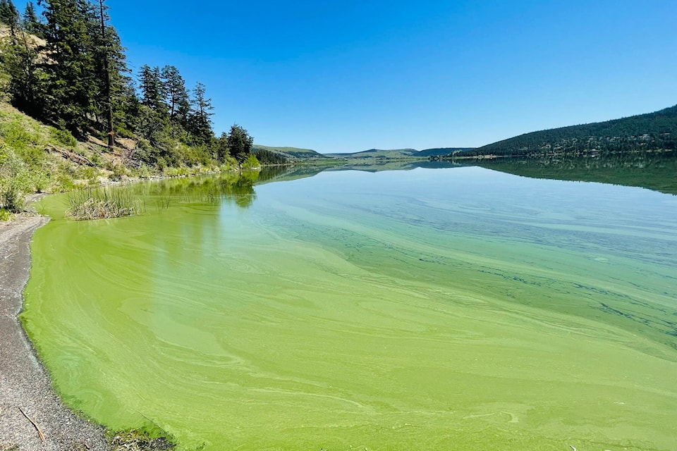 32954240_web1_230608-WLT-algae-blooms-IH-williamslake_1