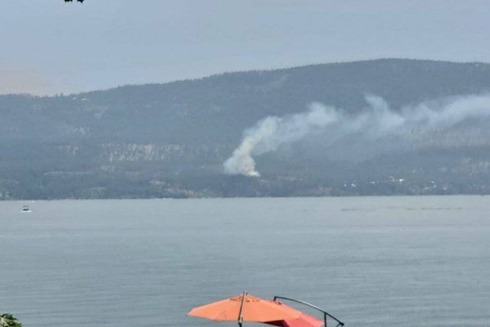 Smoke can be seen coming from the area of Ellison Provincial Park. (Ian Rice/Facebook)