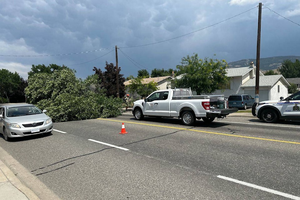 33251245_web1_230713-KCN-outage-downed-trees-_1