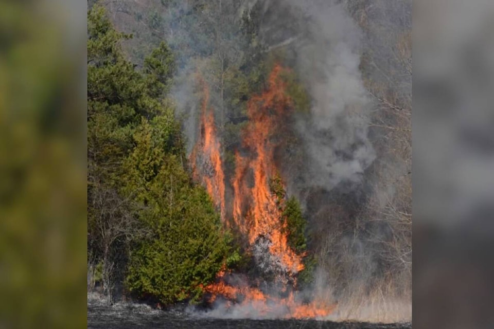 33331979_web1_230720-VMS-wildfire-boleanPUSH_1