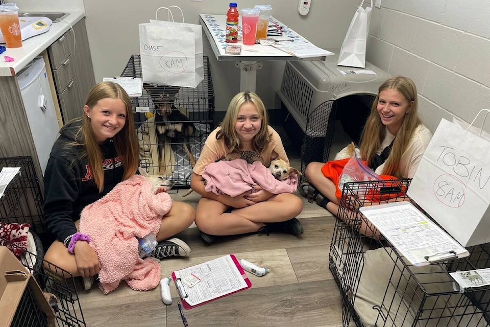 33359373_web1_230720-KCN-pawsitforward-pic_1