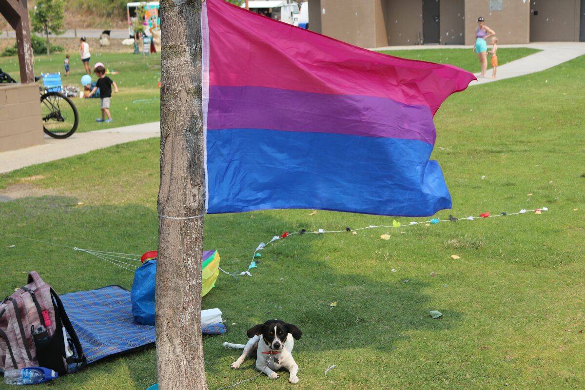 33533106_web1_230810-VMS-Pride-_4