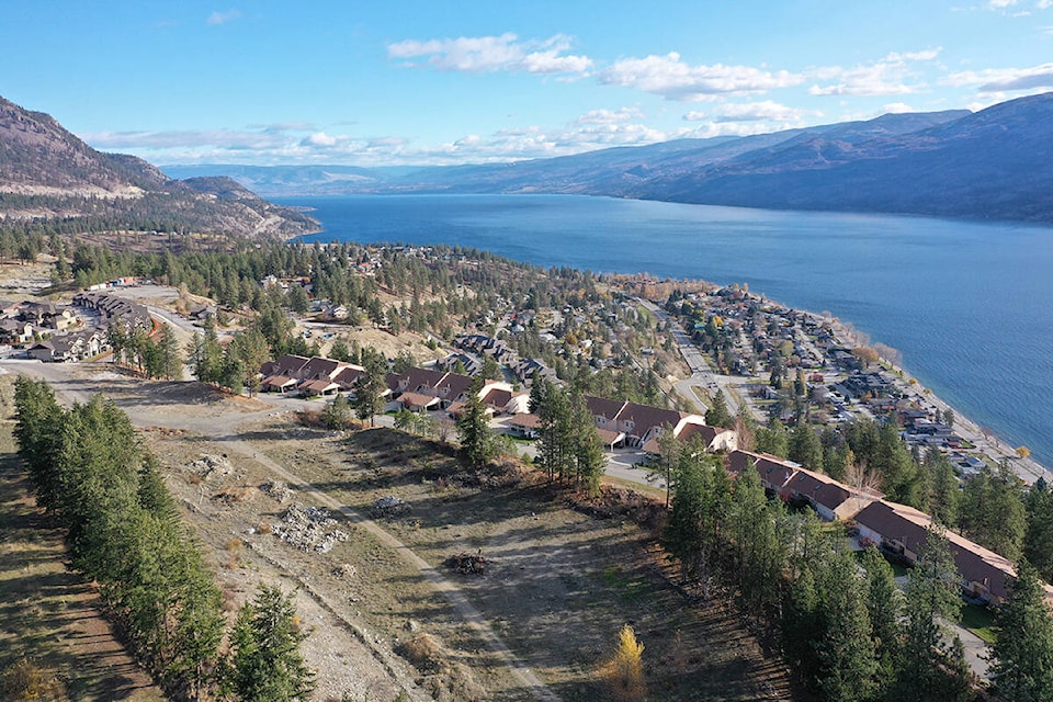 33610267_web1_230816-WEK-peachland-ponderosa-ponderosapines_1