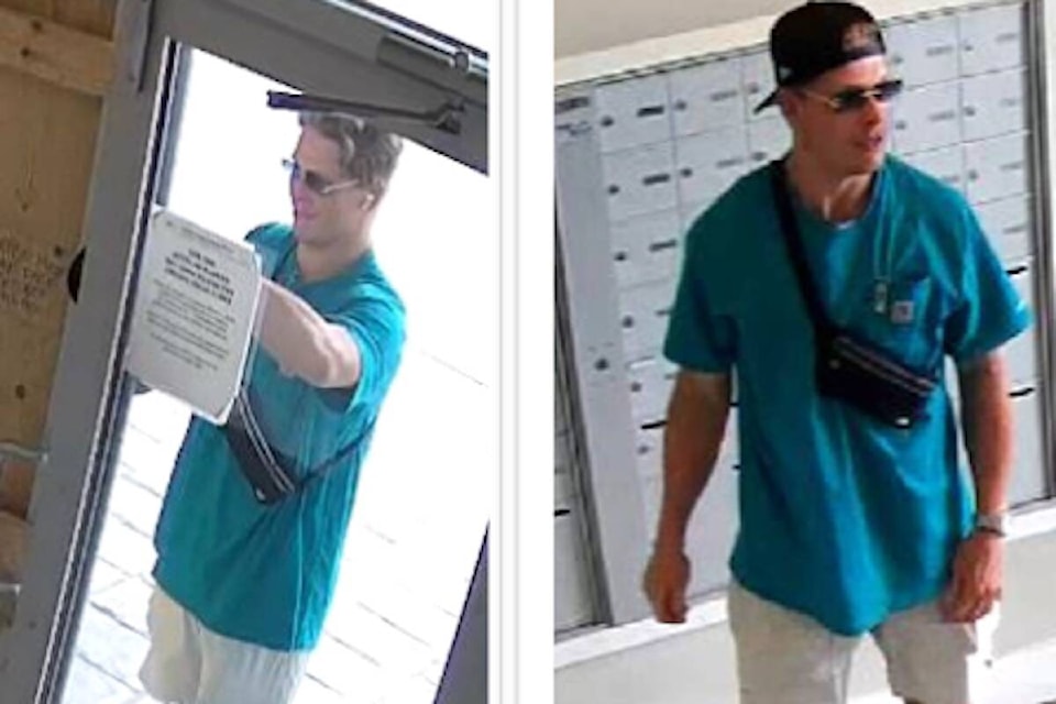 33633826_web1_230824-KCN-porch-pirate-porchpirate_1
