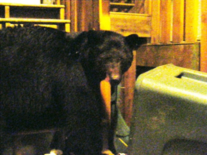 35216lakecowichanWEB-Bear