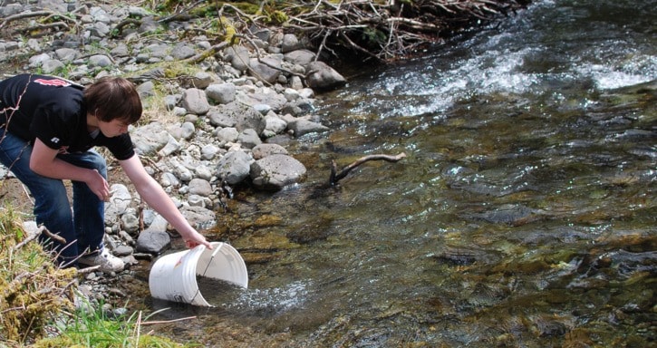 84599lakecowichanWEB-Fish-Release-RobbieCrandall