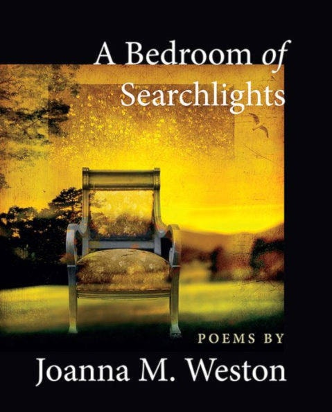 10246269_web1_searchlights-book-cover