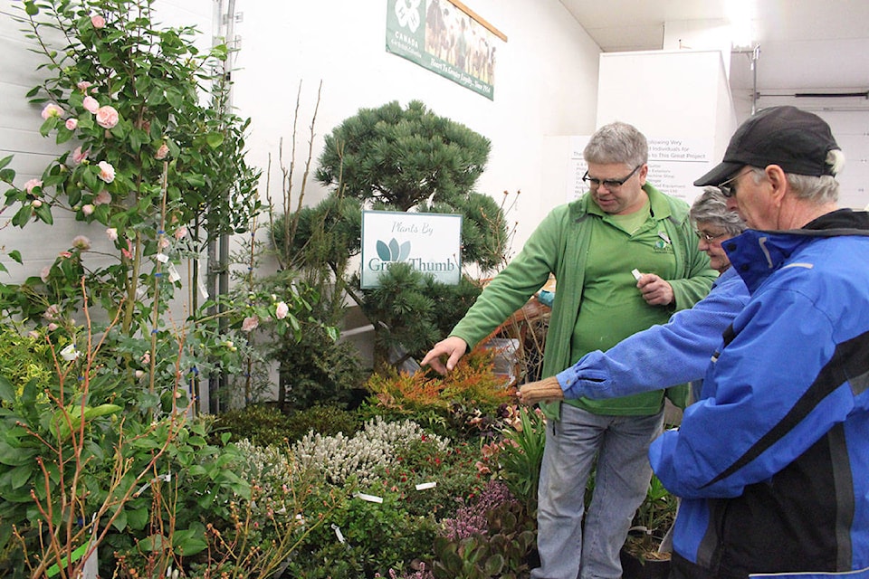 Several blooming plants were popular items at Seedy Saturday. (Andrea Rondeau/Citizen)